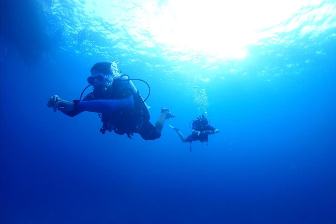 Escape Divers - Jungle Hostel And Dive Centre Ko Tao Dış mekan fotoğraf
